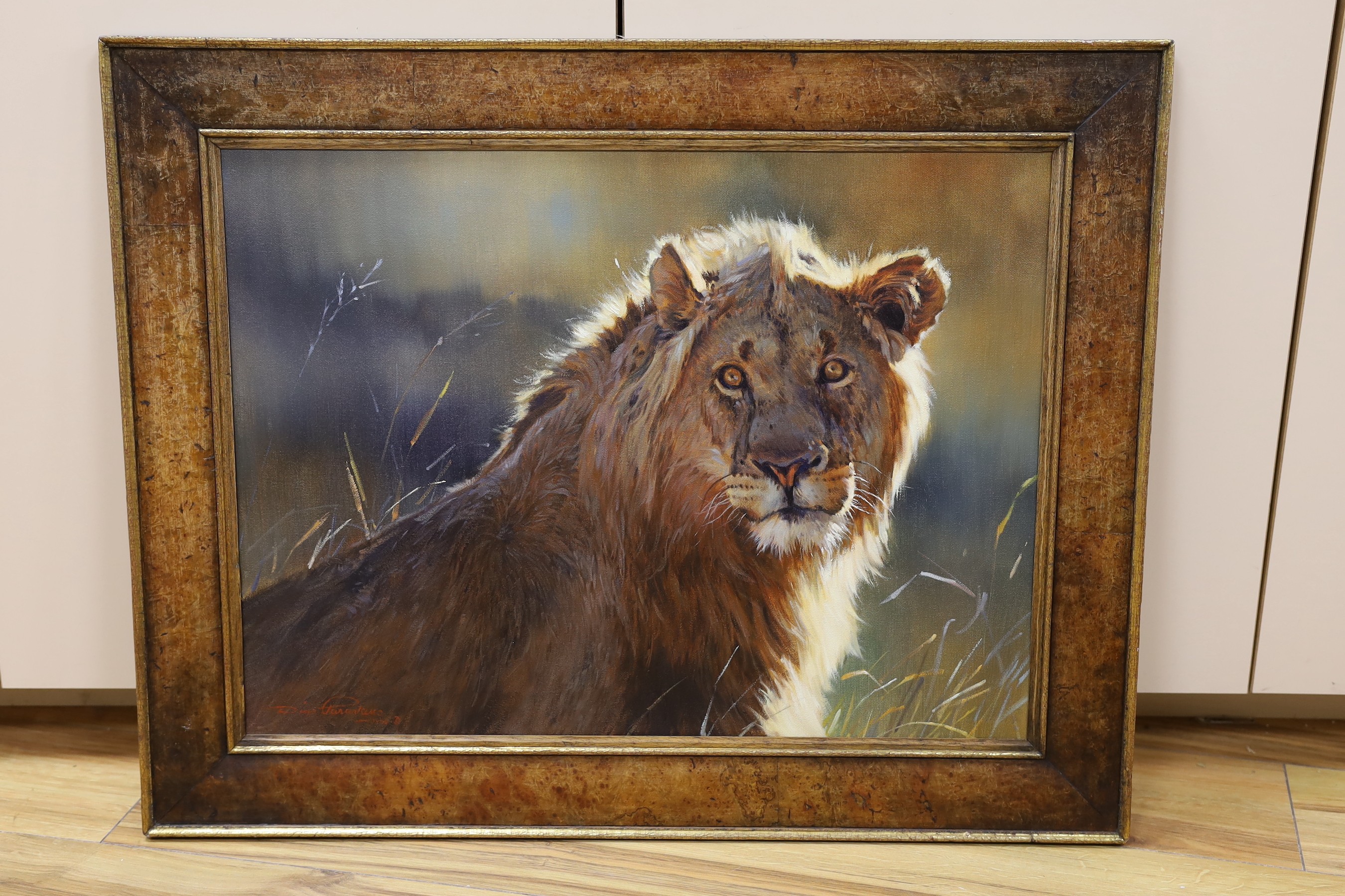 Dino Paravano (SA, born 1935), oil on canvas, 'Young Lion', signed and dated 1996, Tryon & Swann Gallery label verso, 44 x 59cm